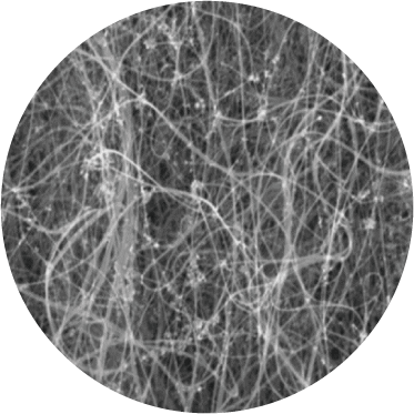 カーボンナノチューブフィルム 拡大図