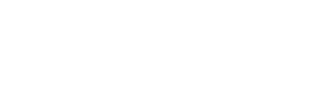 RENERGY