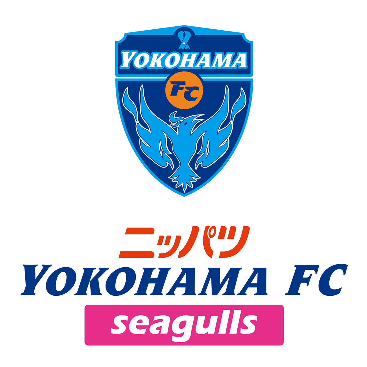 YOKOHAMA FC seagulls